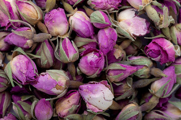 Flower tea rose buds. Background and texture. Close up.