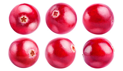 Set of six cranberries isolated on white background.