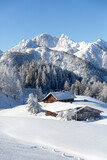 Fototapeta Las - Beautiful winter mountain landscape with snowcapped wooden chalet