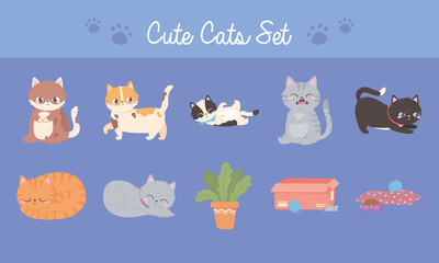 Sticker - cute cats set, different feline with toys food and plant