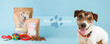 © Pixel-Shot - Cute Jack Russel terrier with tasty pet food and accessories on color background