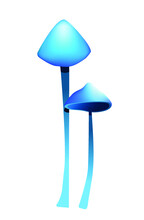 Two Blue Mushrooms On A White Background. With A Small Hat And A Long Leg.