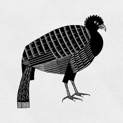 Sticker - Black bird vector vintage woodcut hand drawn