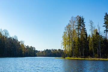  Lake in forest. Picture of nature.