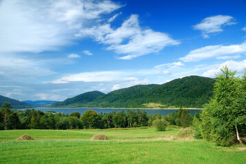 Wall Mural - landscape, view of green fields