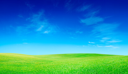 Wall Mural - idyllic view, green hills and blue sky with white clouds