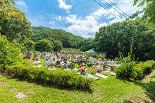 Cemetery On La Digue Island, Seychelles