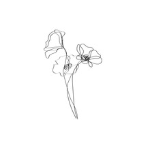 Poppy Continuous Line Drawing. Simple Flowers Black Sketch Isolated On White Background. Poppies Flowers One Line Illustration. Minimalist Botanical Drawing. Vector EPS 10.