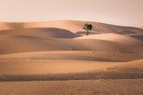 Golden sand dunes and a lone desert tree in a minimalist landscape at the Empty Quarter Desert (Rub' al Khali) near Abu Dhabi, UAE.
