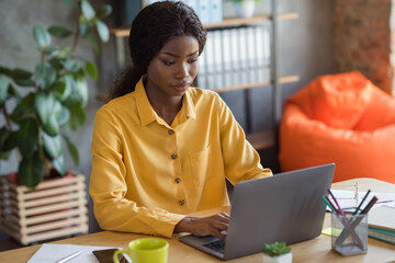 Wall Mural - Photo portrait of african american woman working on laptop typing in modern office indoors