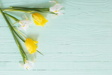 Wall Mural - white irises and yellow tulips on green wooden background