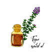 © Kseniia - Hand drawn blooming thyme branch with the bottle isolated on white background. Vector illustration in colored sketch style.