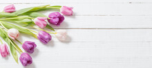 Beautiful  Tulips On White Wooden Background