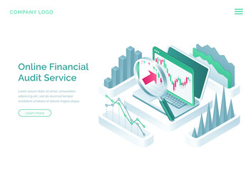 Poster - online financial audit service banner. digital service for accounting, budget analysis, balance valu