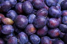 Many Ripe Plums As Background