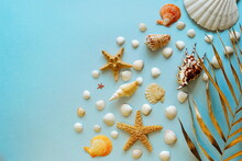 Flat Lay Travel, A Beautiful Background Of Many Small Seashells And Starfish With A Copy Of The Space