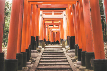 Canvas Print - Red Torii gates in Fushimi Inari Taisha Shrine in Kyoto, Japan