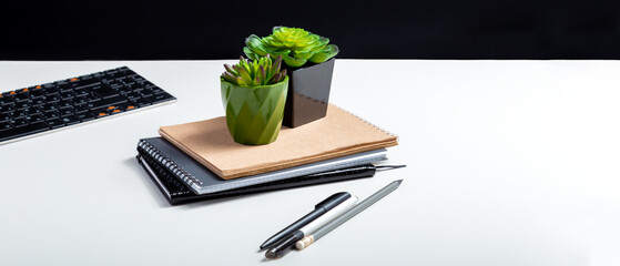 Office artificial flowers succulents in small pots. Landscaping of workplace at home and office. Succulent flowers. Keyboard notepads at home office workplace for remote work. Long web banner