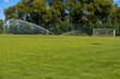 podlewanie trawy na boisku przed meczem