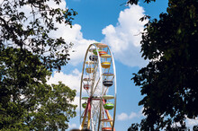 Colorful Ferris Wheel Between Trees