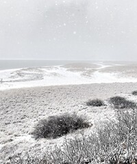 Wall Mural - Winter on the Beach in Snow