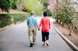 © Curtis Kim/Stocksy - Asian senior couple walking and holding hands
