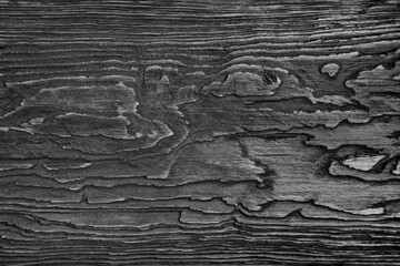 A fragment of a old wooden plank