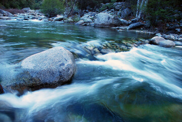 river in the forest