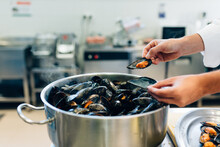 Chef Cleaning Mussels In A Professional Kitchen