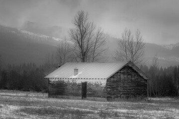 B&W of shed in snowy field.