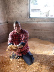 Poster - Farmer holding corn grains in hands