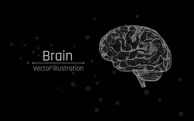 Wall Mural - brain, artificial intelligence concept, neurological research, impartiality, thoughts, brainstorming idea. 3D low poly, vector illustration. plexus