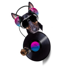 Wall Mural - dj disco dancing music dog