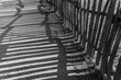 © Adam Nixon/Stocksy - Picket fence shadow
