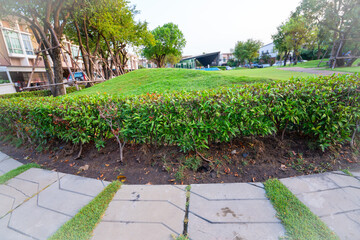 Wall Mural - path in the park