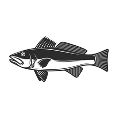 Wall Mural - Illustration of zander fish in black and white style. Design element for poster, card, banner, sign, logo. Vector illustration