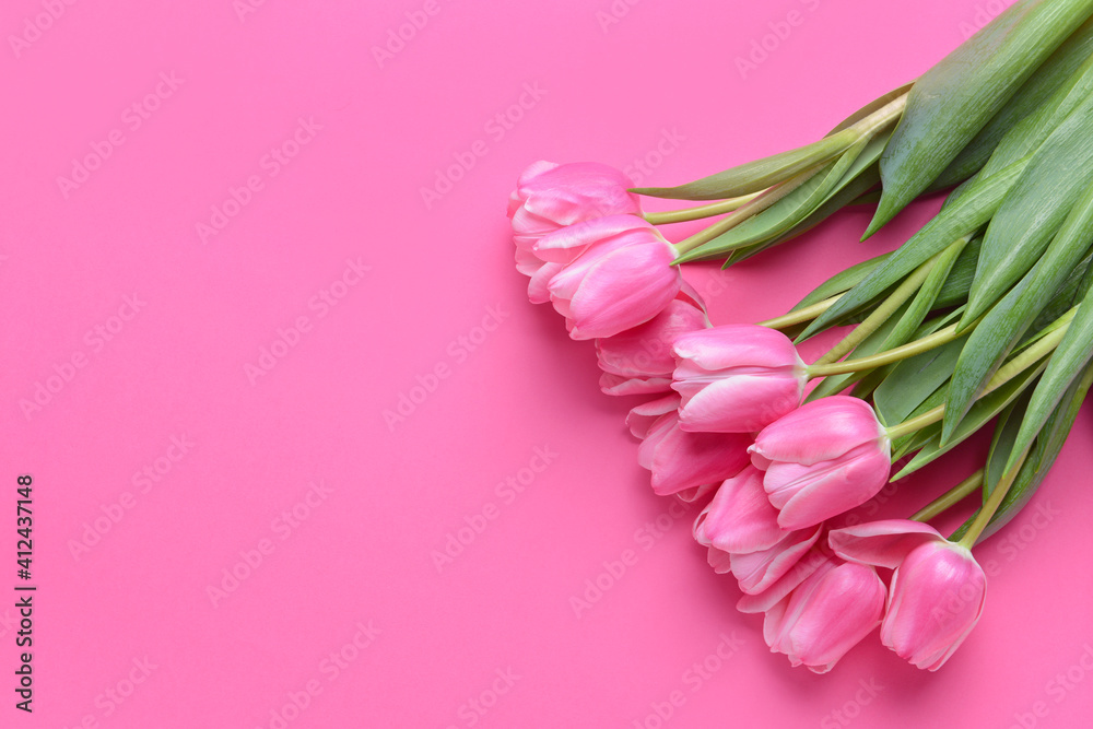 Beautiful flowers on color background