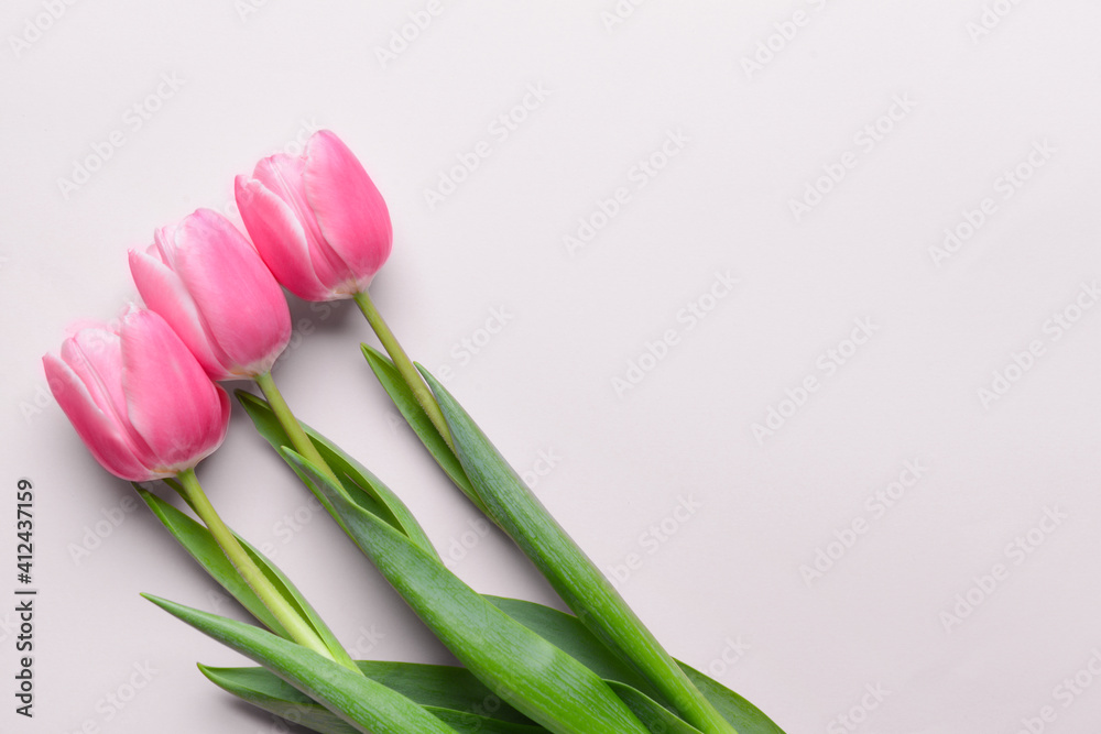 Beautiful flowers on light background