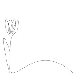 Wall Mural - Flower on white background draw, vector illustration