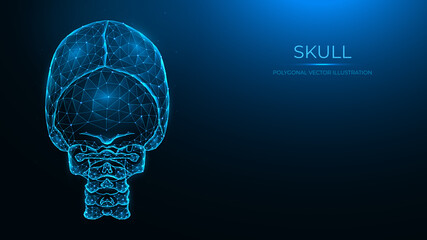 Polygonal vector illustration of a human skull, back view. Anatomical model of the skull and cervical spine on dark blue background.