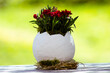 Easter egg as a flower vase in front of a blurred background 