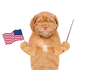 Poster - Puppy holds American (USA) flag in it paw and points away on empty space. isolated on white background