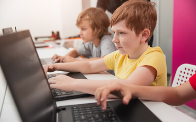 Wall Mural - focused schoolboy working on laptop during school lesson
