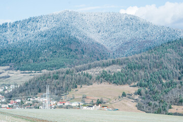 Wall Mural - Mountain with snow on trees