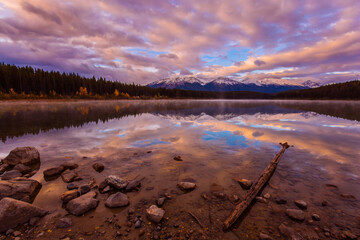 Wall Mural - Pink sunrise