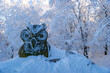 Betonowa sowa w śniegu zima
