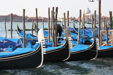 Góndolas aparcadas en la Plaza de San Marcos, Venecia