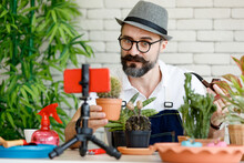 An Internet Seller, A Beautiful Beard Man Wearing Hat And Eyeglasses Sitting In Home Indoor Garden Make An Online Presenting And Live Broadcast For Sale His Cactus In Home Garden
