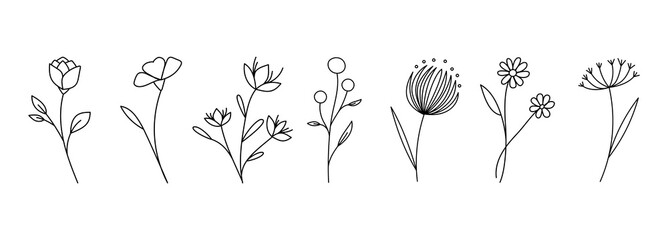 Botanical linear flower set. Abstract creative floral collection, minimalist flowery art for print, tattoo. Vector illustration