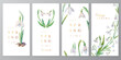 Set of vector cards with spring flowers. Collection of cards with watercolor snowdrops. Frames and backgrounds on a spring theme for your design